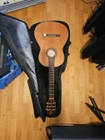 guitare hofner hhm-mz