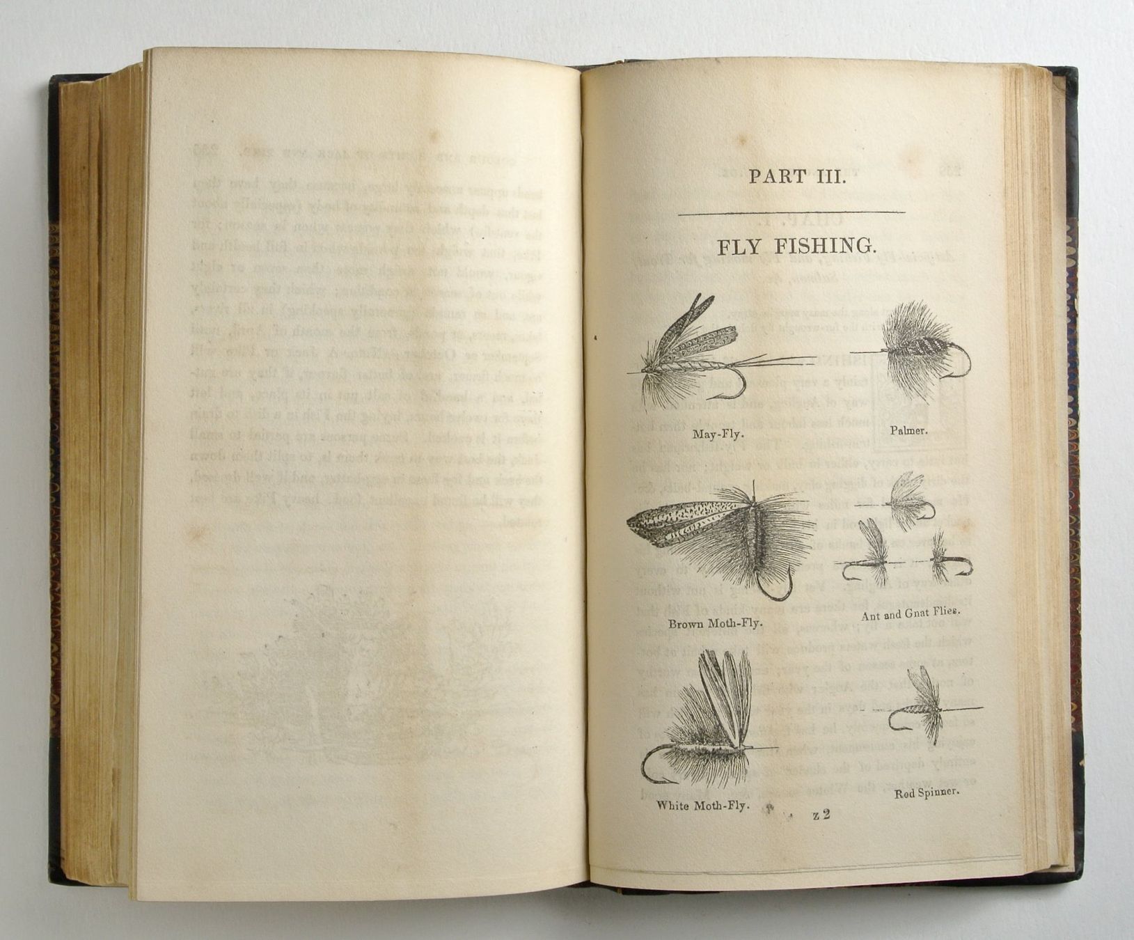 Libri: Salter, T.F. The Angler`s Guide – Usato da Erschwil venduto da taglang 3