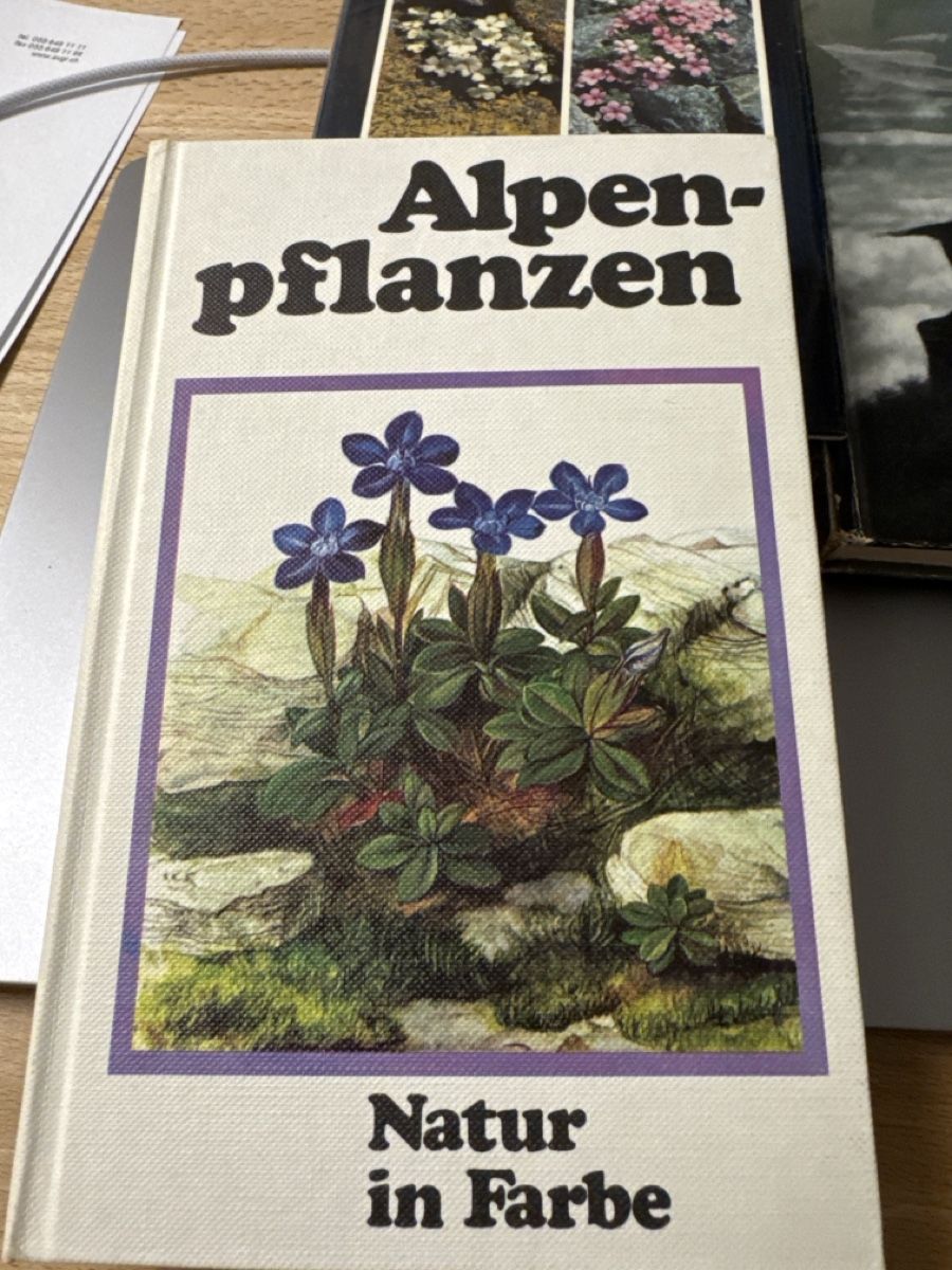 Libri: 6 📚 Bücher  – Usato da Neuhausen am Rheinfall venduto da Herufe 4