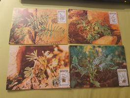 4 cartes postales botaniques avec timbre Verda 50 ct.