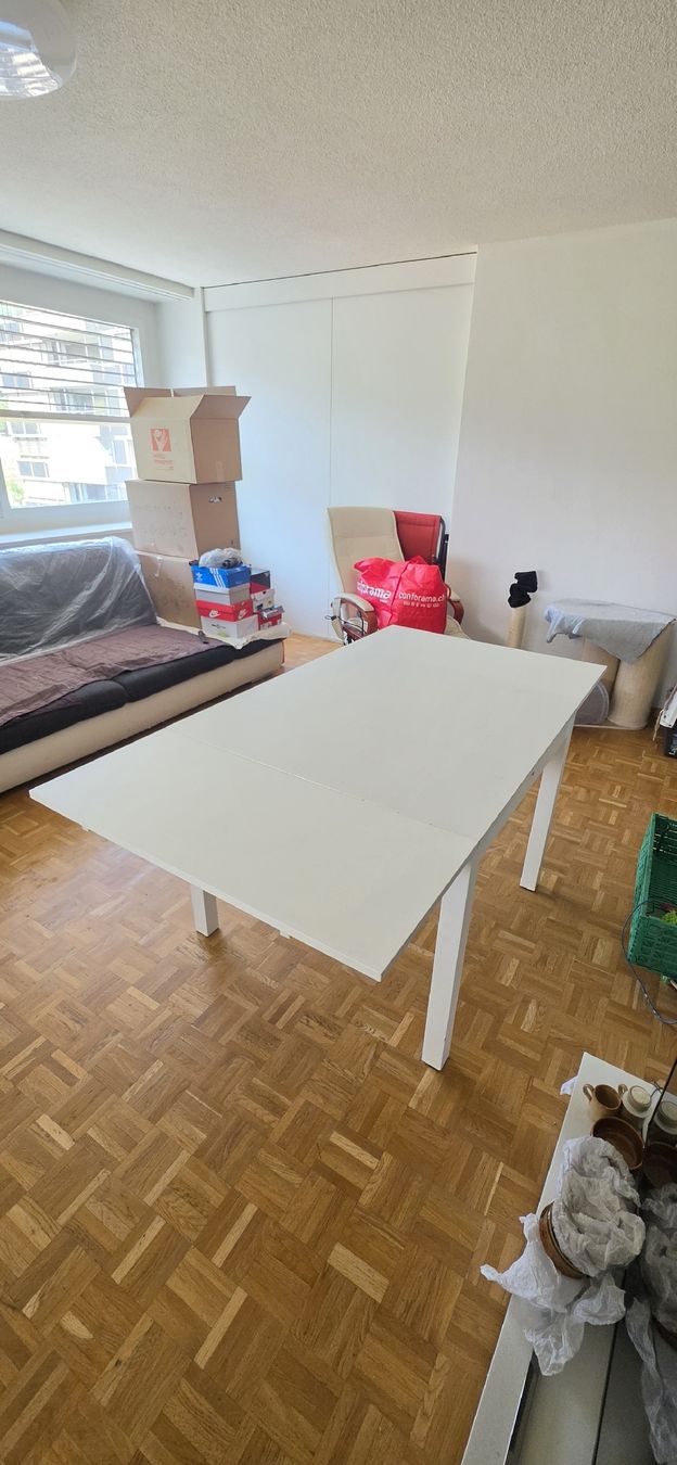 Tische: Ausziehbare Esstisch – Gebraucht aus Zürich von Abrar123 3