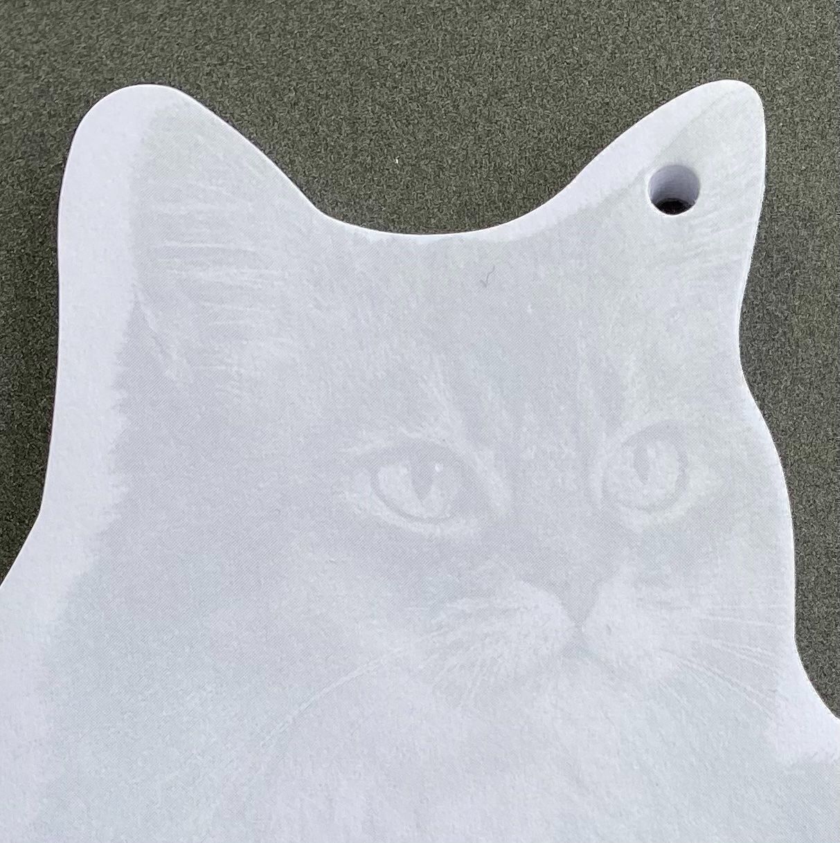 Schreibblöcke: Block KATZE – Neu und originalverpackt aus Dietlikon von Sa_Biene 1
