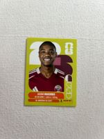 Panini QAT 11