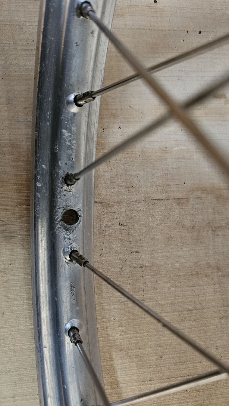 Sachs Mofas: Weinmann Rücktrittrad 19 Zoll – Gebraucht aus Stalden (Sarnen) von SACHS_85 3