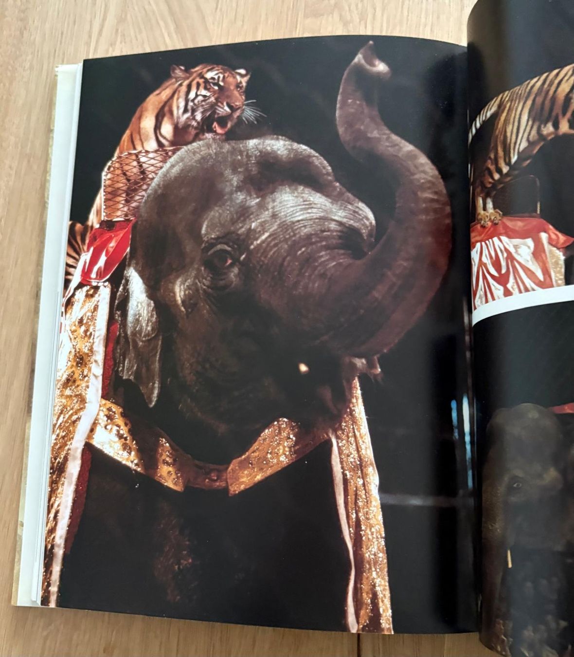Bücher: ZIRKUS KNIE – Gebraucht aus Ostermundigen von Wyatt-Earp 6