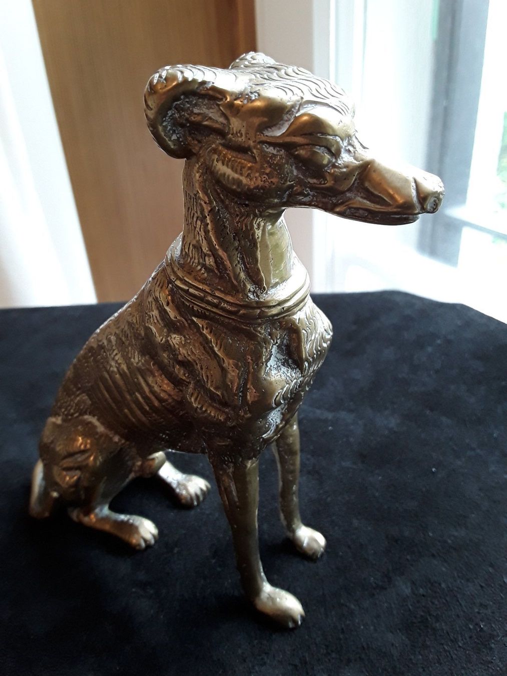 Statuette: Eleganter Messing Windhund – Usato da Zürich venduto da sanwit 7