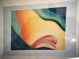 Delfin