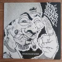 Darth Fader & Scarecrow Willy ‎– Bionic Booger Breaks LP