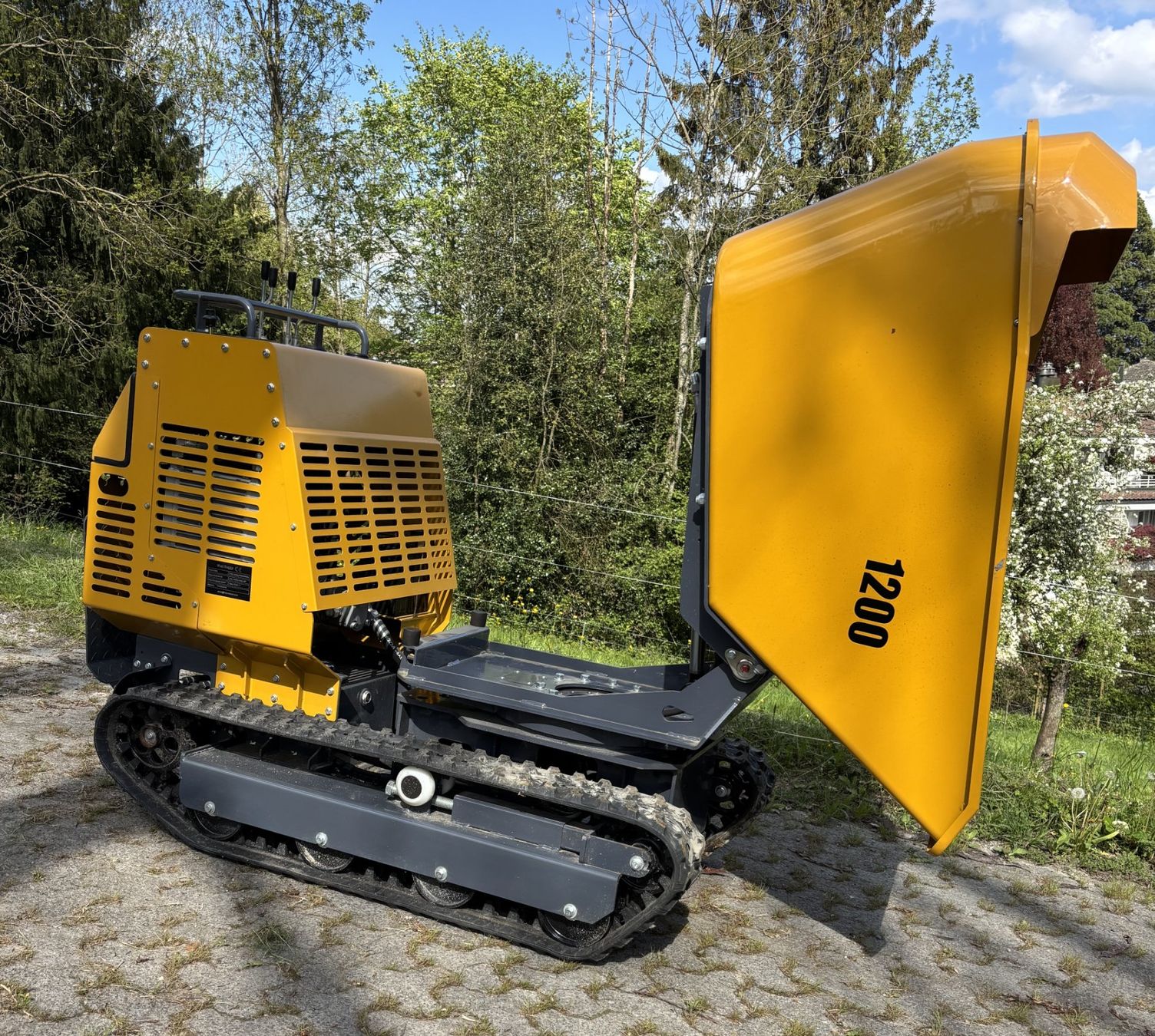 Alle Maschinen: Raupendumper hydrostatisch Nutzlast 1000 kg – Neu (gemäss Beschreibung) aus Kastanienbaum von acapulco 2