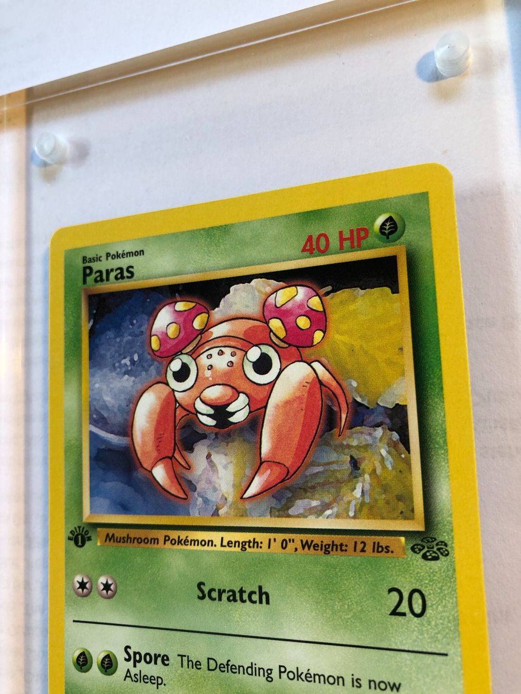 Carte collezionabili: Paras 1st Jungle - NM - ab 1.- – Usato da Giubiasco venduto da dan_pr8b 3
