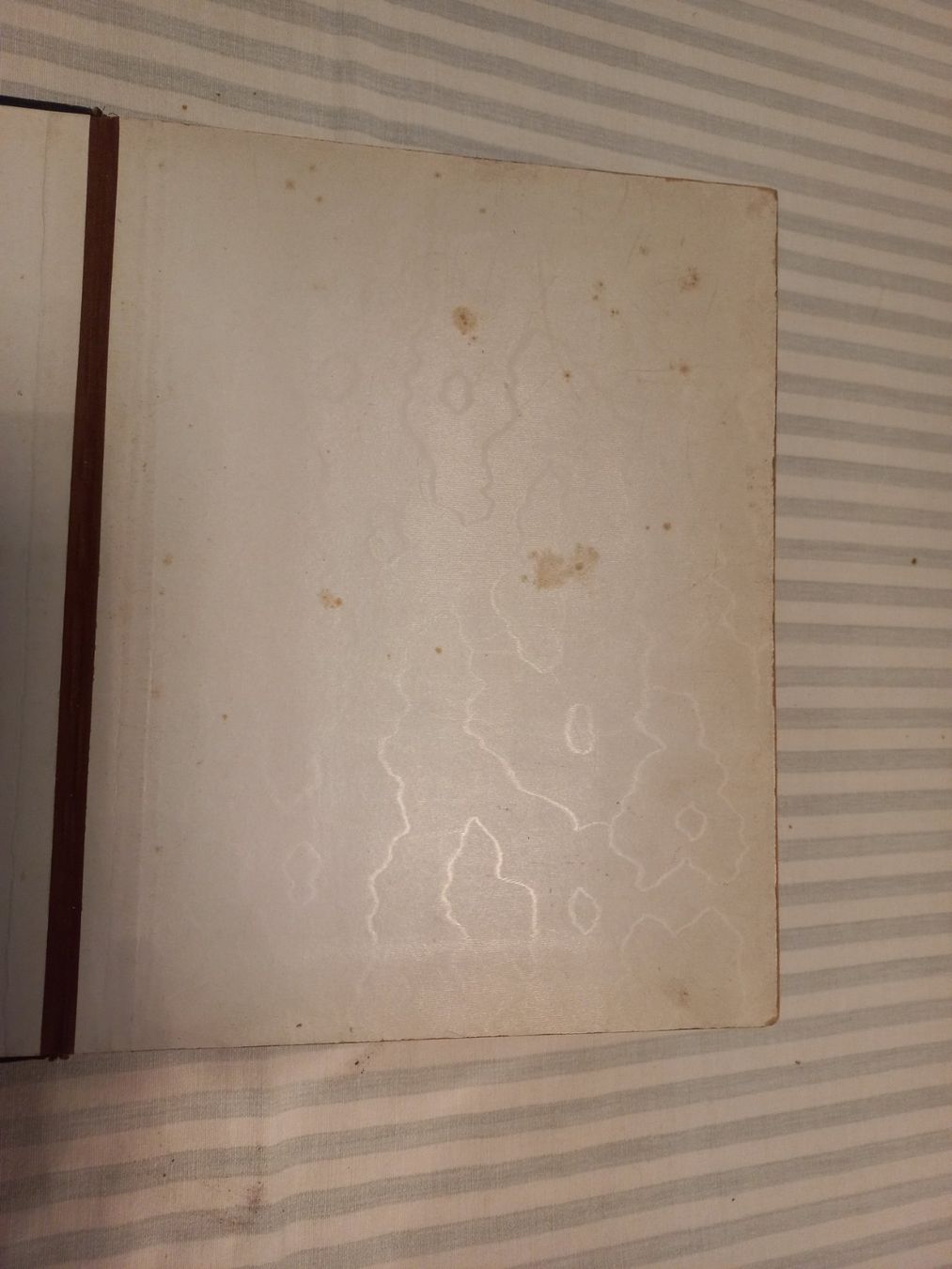 Album: Antike Fotoalbum – Usato da Reinach BL venduto da Niculescu 6