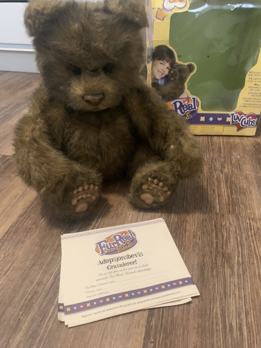 FurReal Spielzeuge: FurReal Friends Braunbär – Neu (gemäss Beschreibung) aus Emmen von Bgucci_girl 1