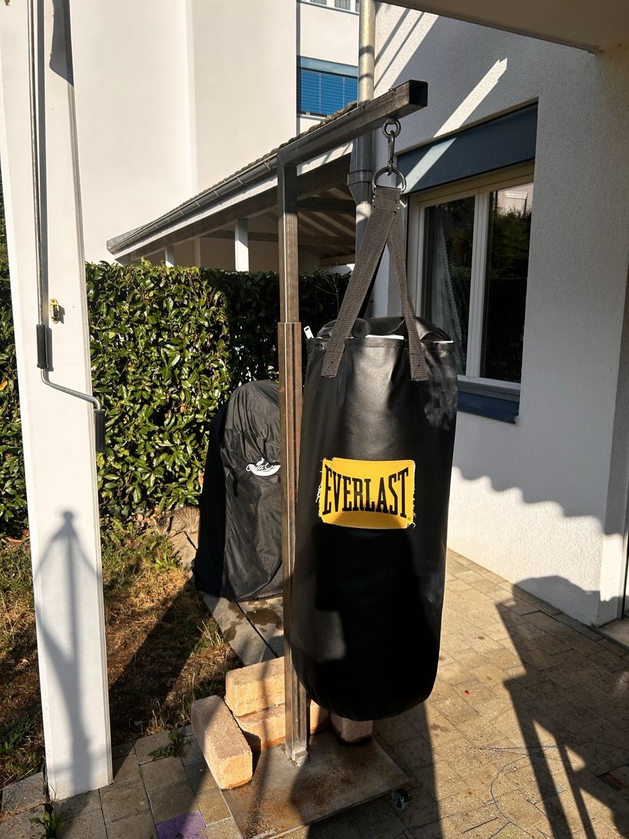 Everlast Sacchi da boxe: Boxsack mit Ständer, ideal für Garten  – Usato da Bremgarten AG venduto da Junior31 5