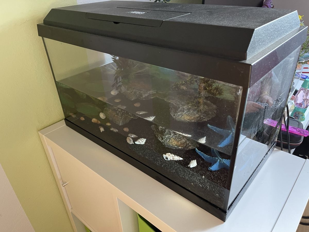 Acquari: Aquarium 54 Liter mit Möbel  – Usato da Schupfart venduto da Matthias7719