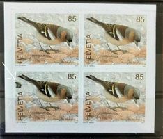 3521) Abart Buchfink grosser Fleck am Rand Attest LP