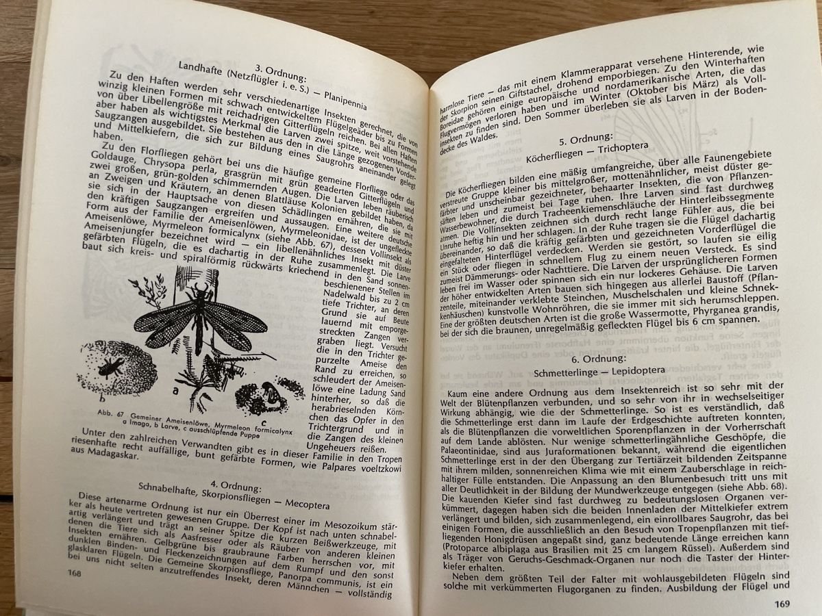 Libri: Die Tierwelt nach Brehm - Dr. Rudolf Barth – Usato da Winterthur venduto da cheerio97 7