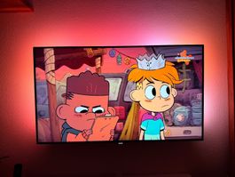 Philips TV 48 Zoll