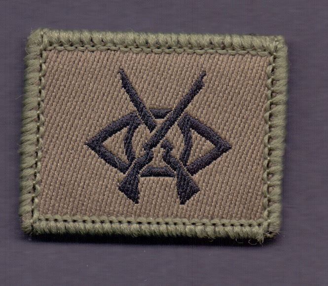 Schweizer Armee Placchette & Badge: Sicherungssoldat – Usato da Koblenz venduto da Himmelsreiter