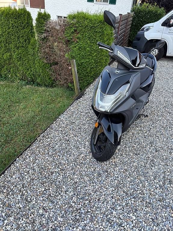 Strada: SYM FNX 125 Roller – Usato da Hergiswil NW venduto da lynnallina 1