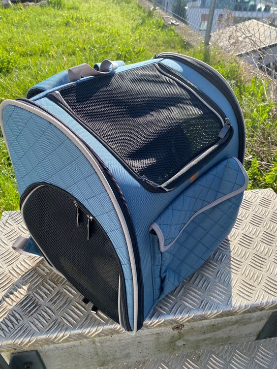 Kawaii Hunderucksack – Blau, Große Größe, Cartoon-Design, Für Reisen & Spaziergänge