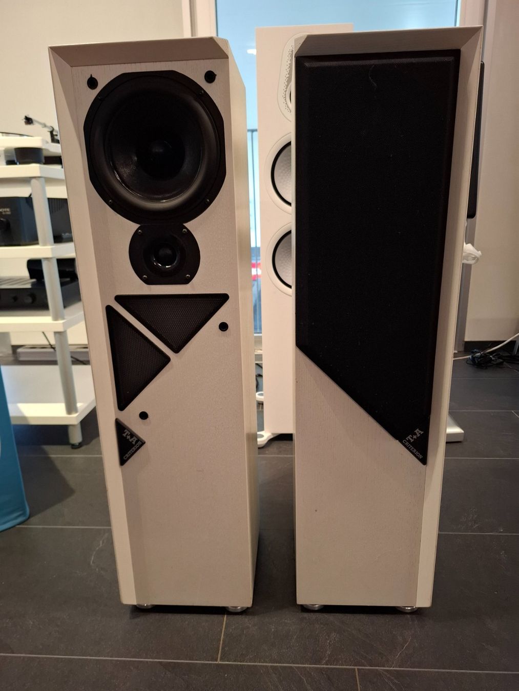 T+A Casse acustiche: T+A Criterion T 75 E – Usato da Kerzers venduto da Hubihifi 2