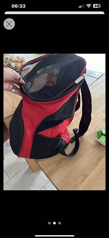 Zaini: Hunderucksack – Usato da Seewen SO venduto da Muggi3