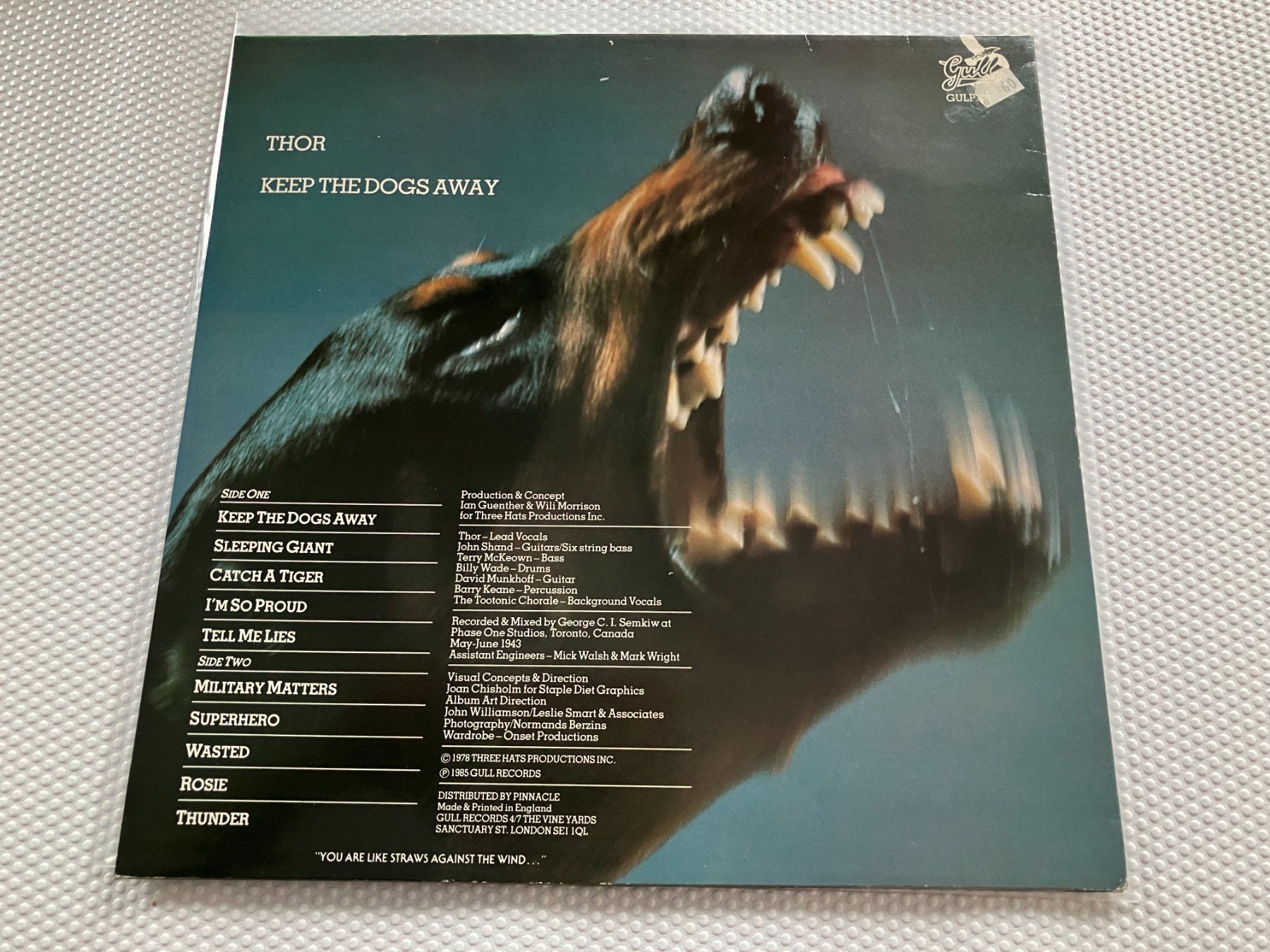 Dischi in vinile: Thor – Usato da Aarwangen venduto da Jukebox3 2