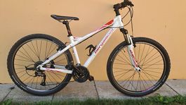 Bergamote Roxtar 2.0 FMN