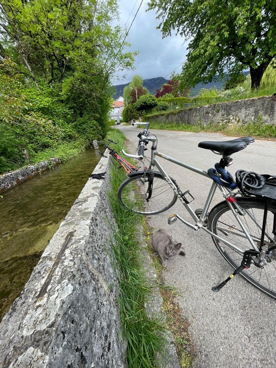 Biciclette: Stadt Fahrrad  – Usato da Glattpark(Opfikon) venduto da dso_85mp