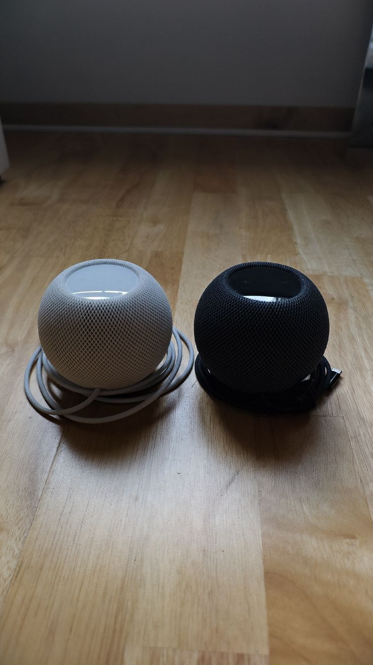 Apple Casse acustiche: Apple Homepod Mini – Usato da Mosnang venduto da chjsch7