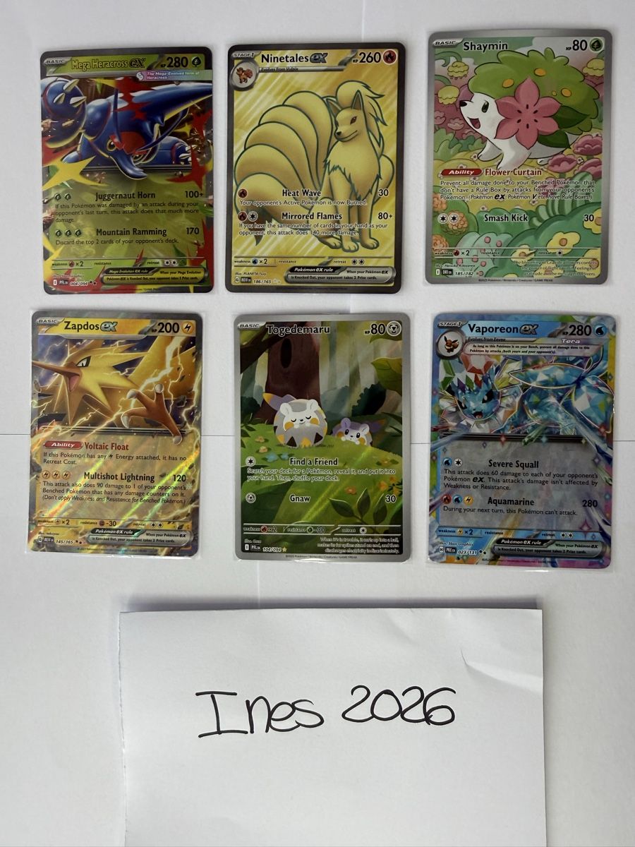 Pokémon Sammelbilder & Trading cards: Lot de cartes Pokémon - ENG – Neu und originalverpackt aus Nidau von ine_g6fj