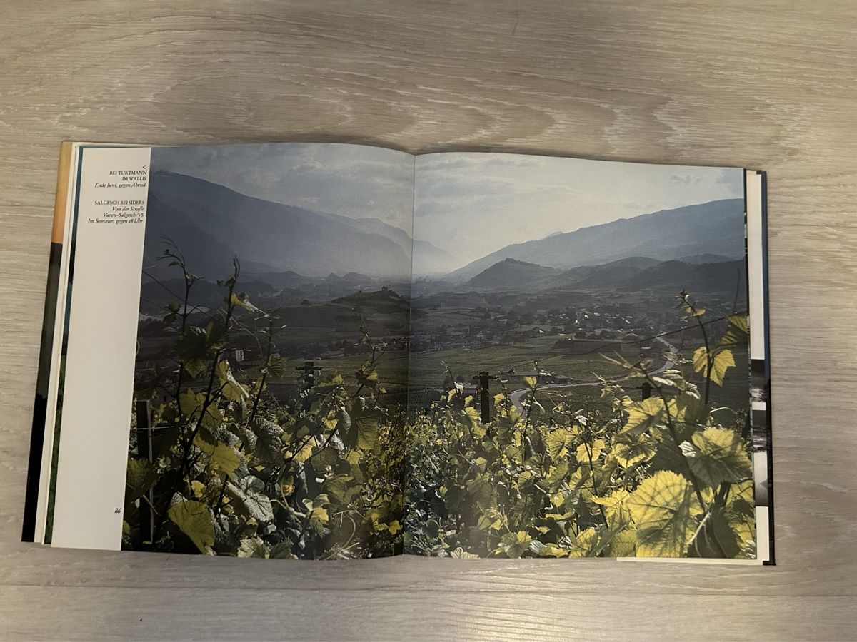 Libri: Buch Die Schweiz sehen – Usato da Brunnen venduto da Bastelrausch 2