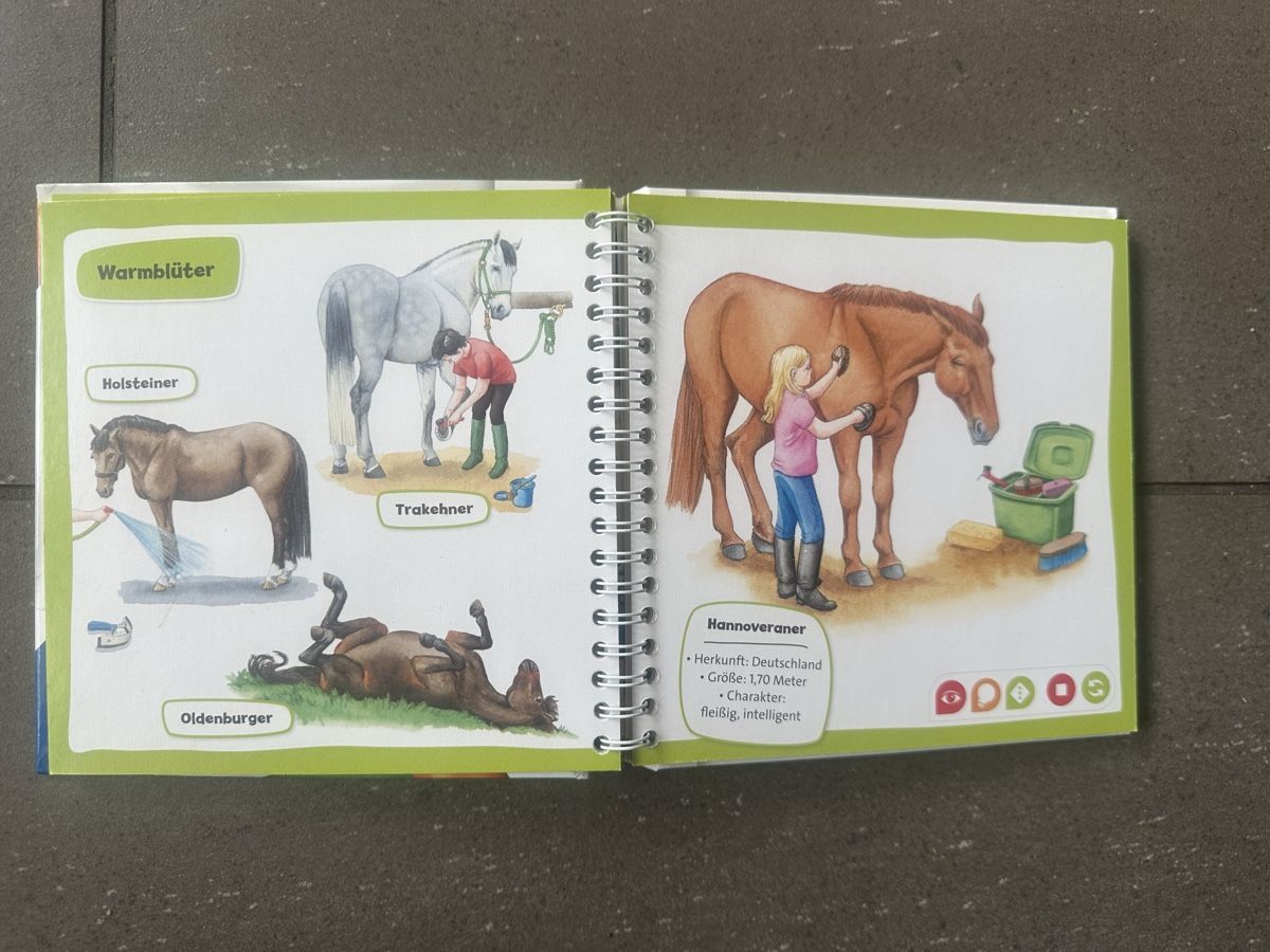 Libri: Tiptoi Pferde und Ponys – Usato da Busswil venduto da billib 2