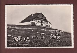 Hôtel du CHASSERAL - Vaches - 1943