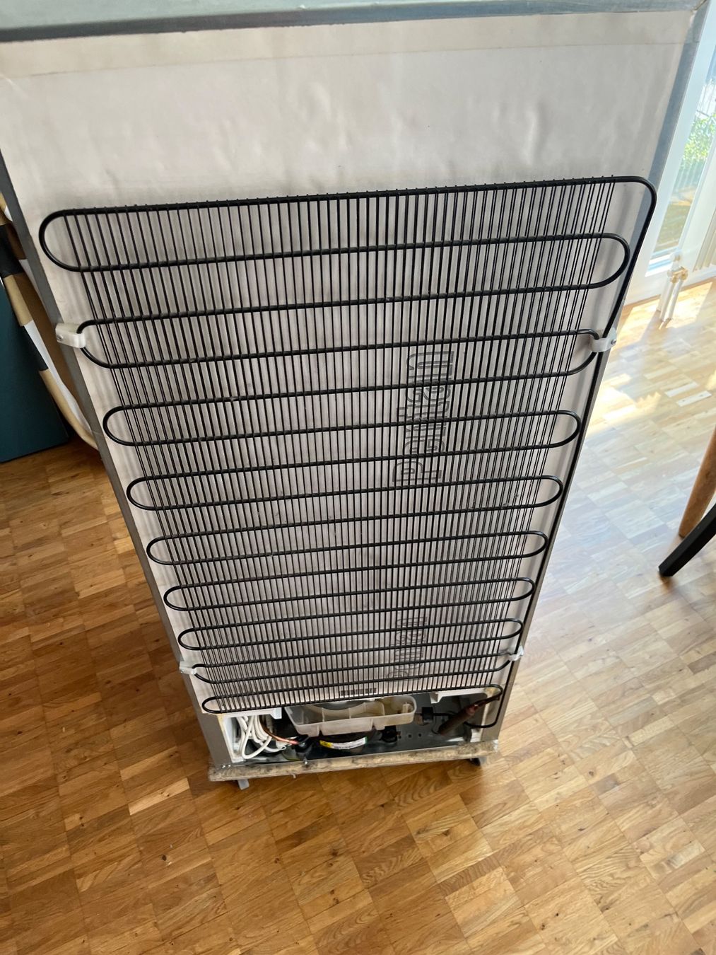 Electrolux Frigoriferi: Einbaukühlschrank Electrolux. EK – Usato da bern venduto da sanducci 6
