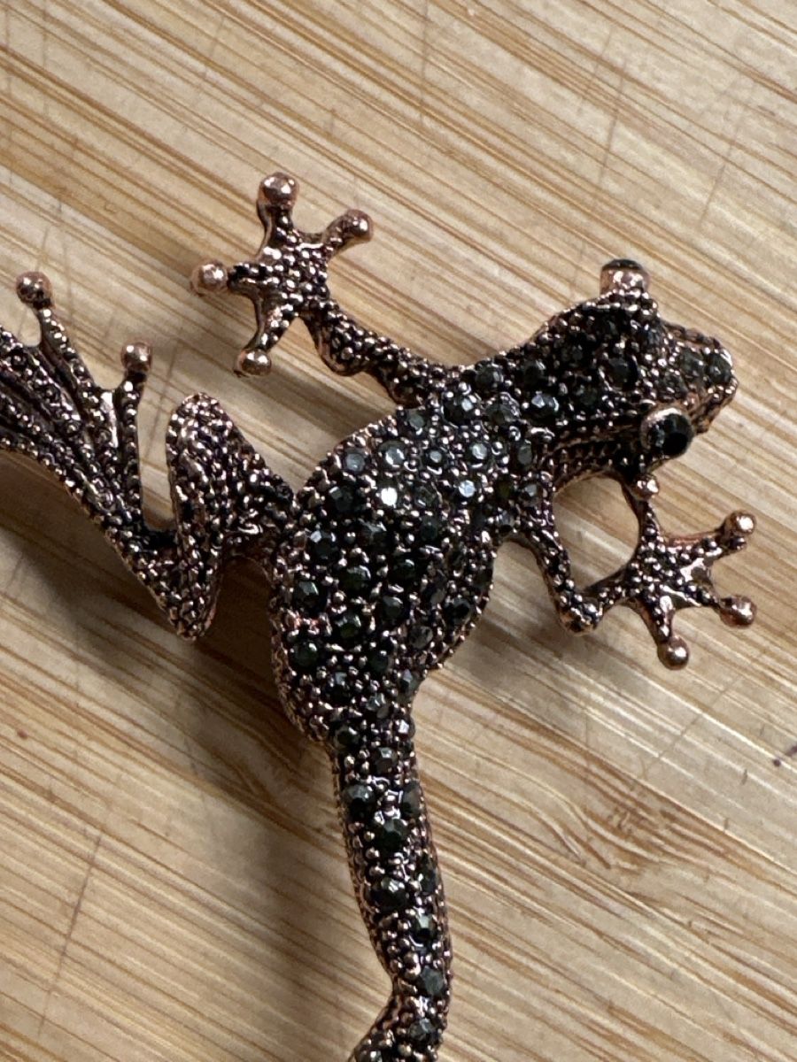 Spille & Fermagli: Frosch Brosche bronce mit Strassteinen – Nuovo (secondo la descrizione) da Trüllikon venduto da angela4444 1