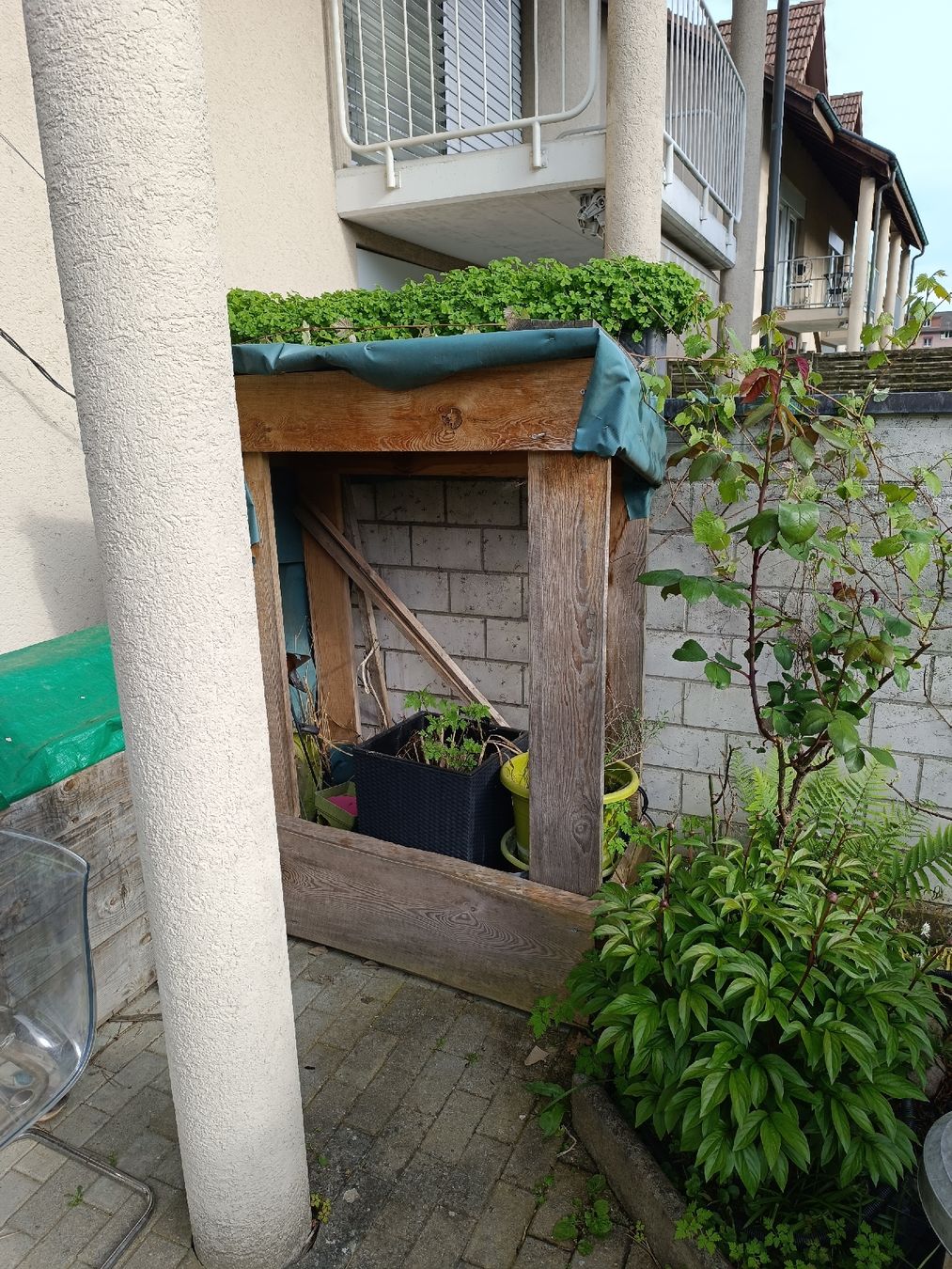 Cabanes de jardin & serres: Tomatenhaus – D'occasion à Aarwangen par Byv7