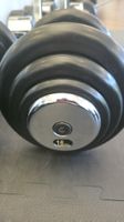 16kg Hanteln guter Zustand