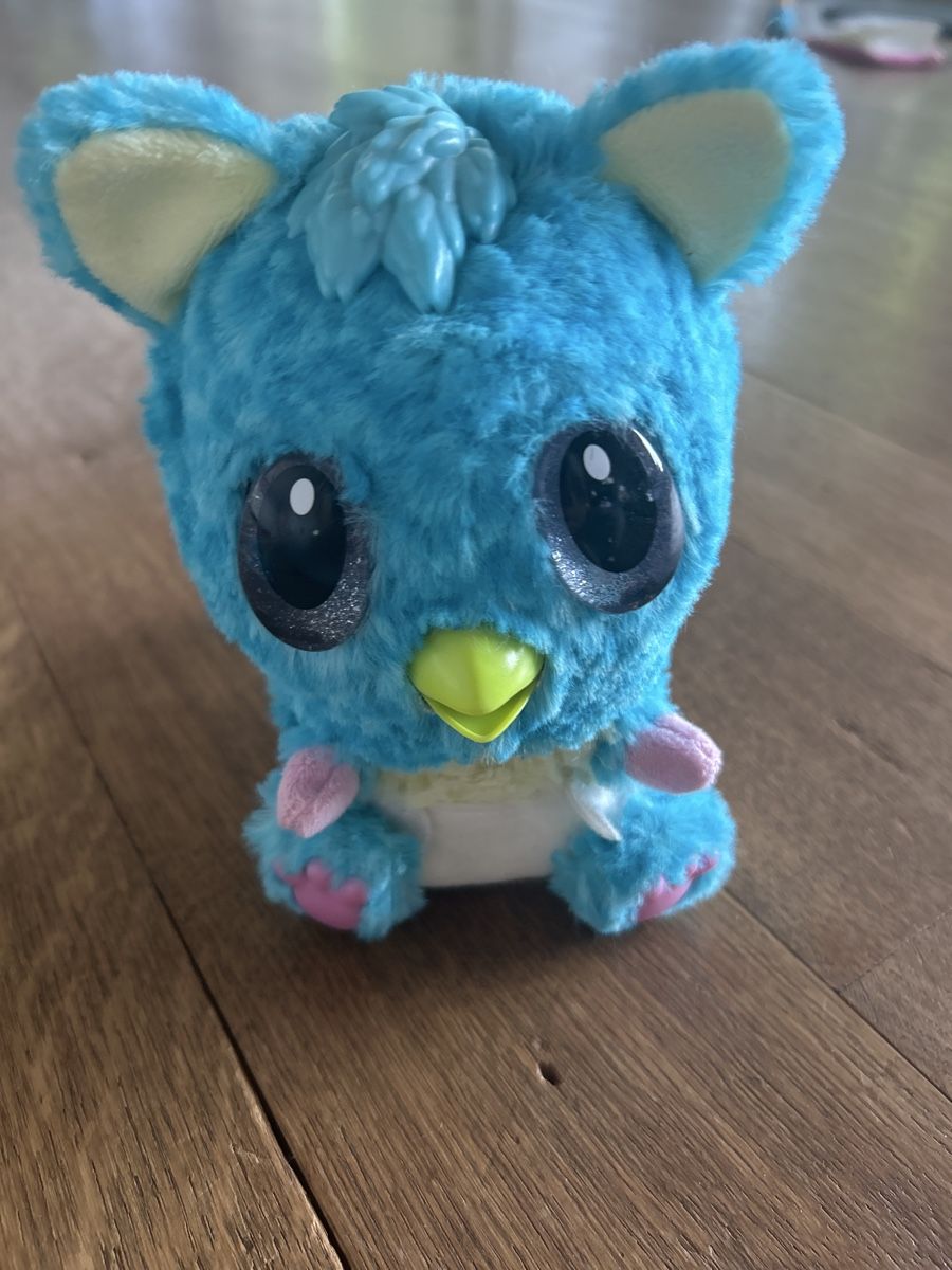 Hatchimals Spielzeuge: Hatchimal – Gebraucht aus Liebefeld von heblow 1