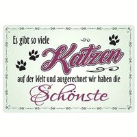 🐾Charmantes Katzen-Metallschild–Die Schönste Katze der Welt