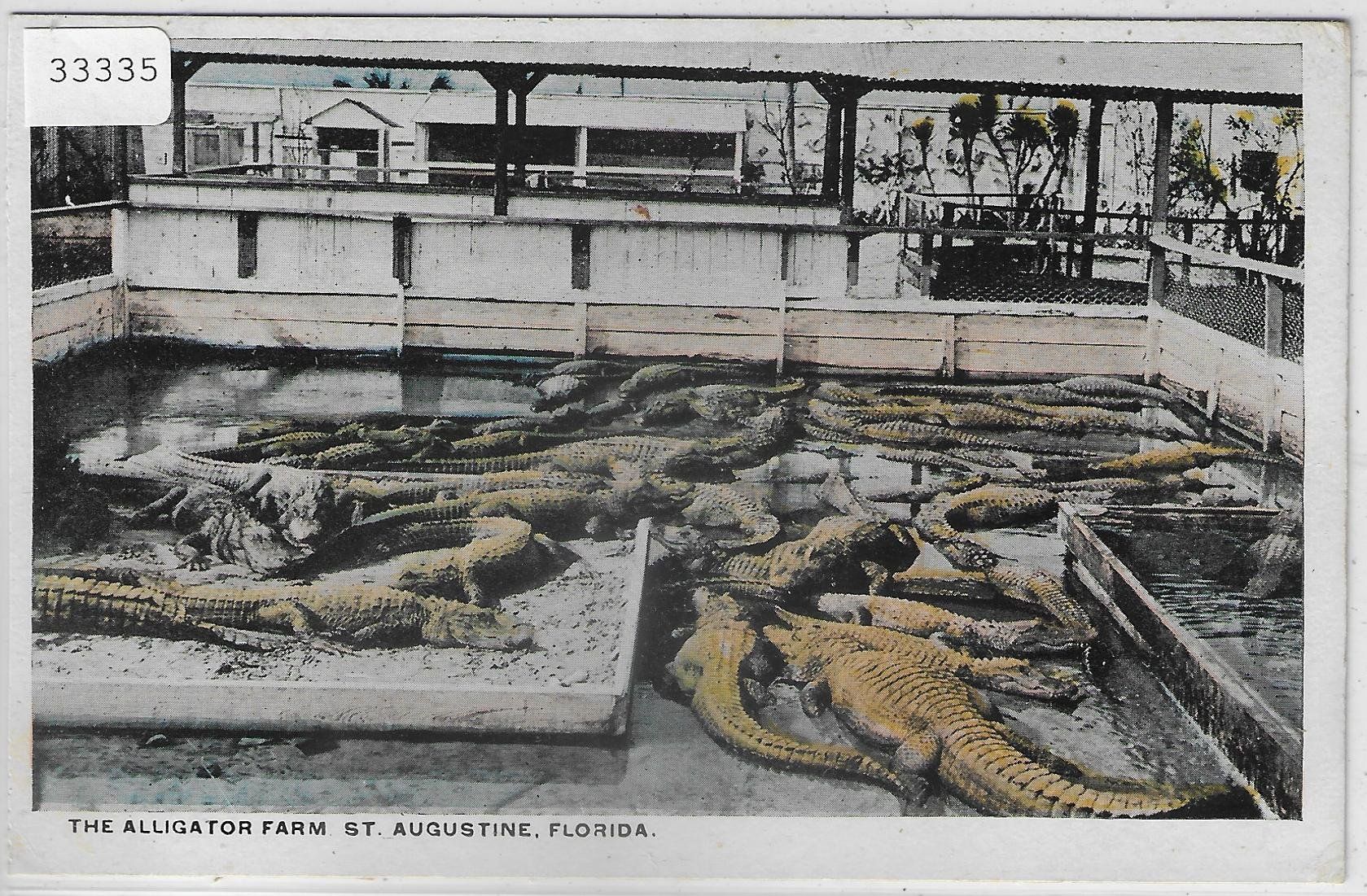 Ansichtskarten: The Alligator Farm St. Augustine Florida USA – Gebraucht aus Ettingen von Kartenplanet