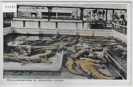 The Alligator Farm St. Augustine Florida USA