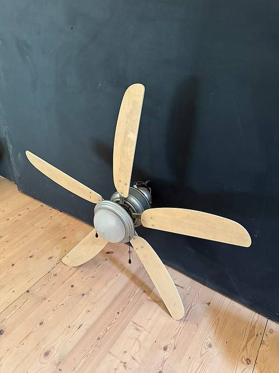 Ventilateurs: Deckenventilator und Lampe – D'occasion à Missy par bernhardiner02 1