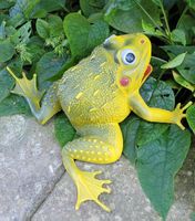 💚 Grosser Vintage Gummifrosch 20cm Ochsenfrosch 80er Jahre 