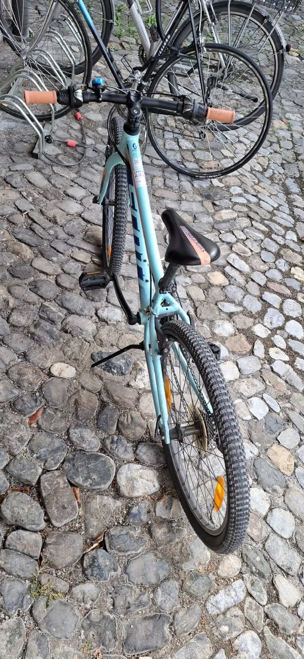Scott Velos: SCOTT Kinder MTB velo  Gr 10" – Gebraucht aus Adliswil von trujillo01 7
