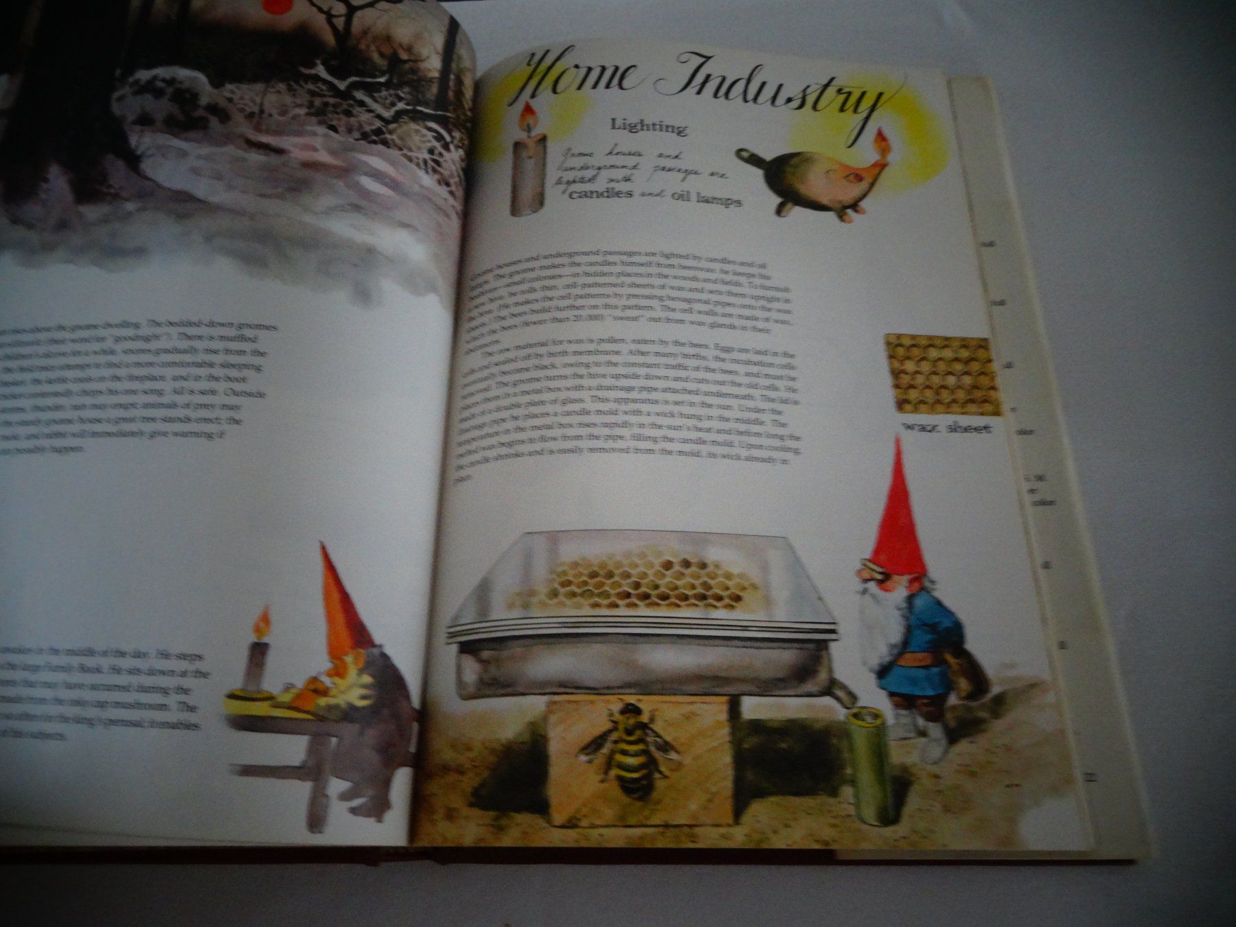 Bücher: Gnomes – Gebraucht aus Neerach von jenny062 6