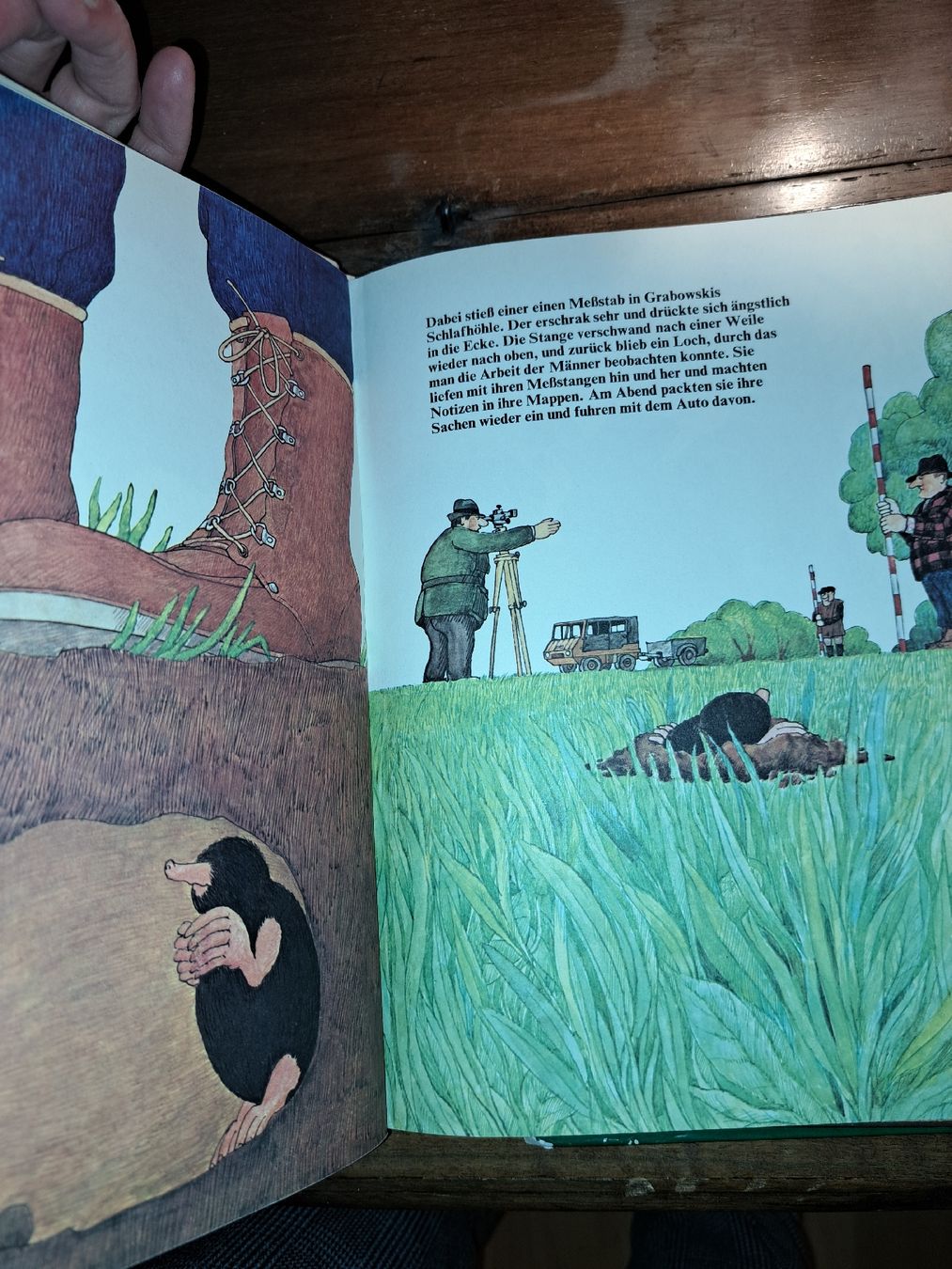Libri: Diverse Sammlung von Kinderbüchern, – Usato da Kölliken venduto da Upcycling-by-Mc-TAM 8