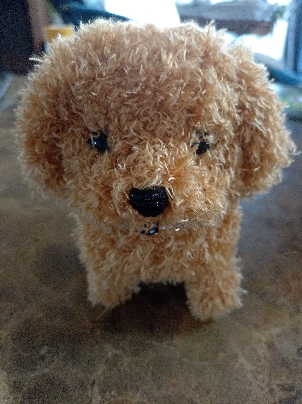 Jouets: Roboterhund  – Neuf avec emballage d'origine à Romanshorn par lobpreis01 1