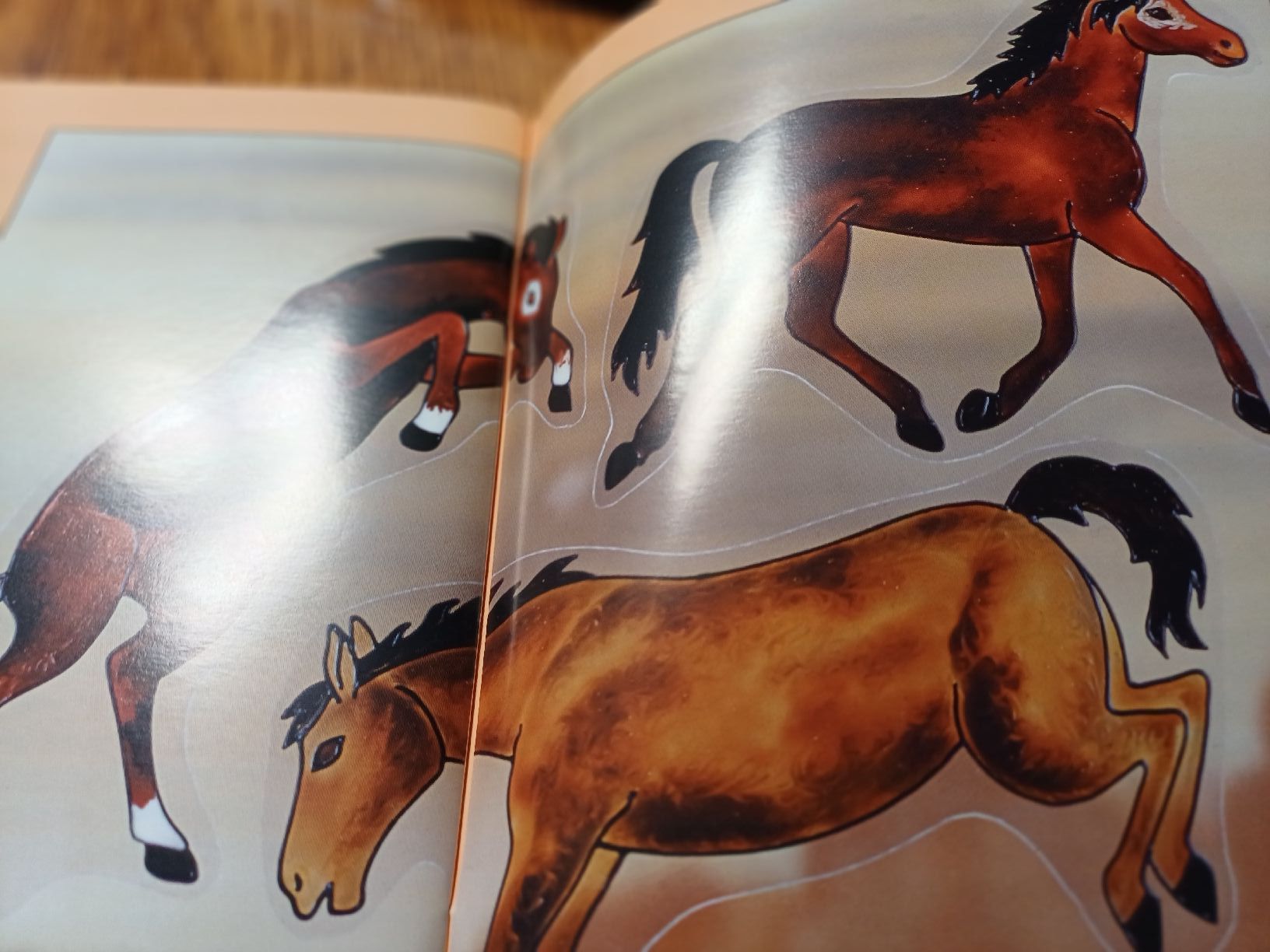 Bücher: 2 Bastelbüchlein allgemein Windowcolor – Neu (gemäss Beschreibung) aus Gächliwil von lesidees 3