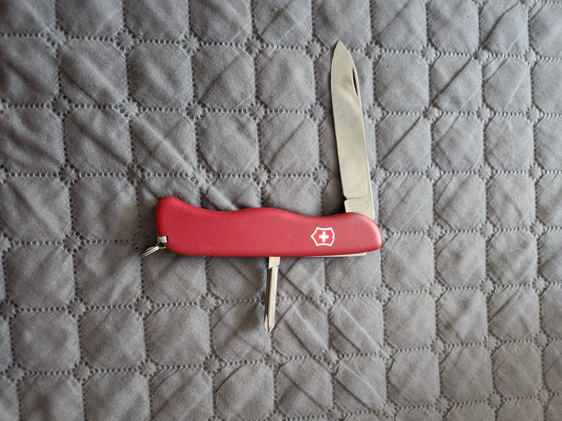 Victorinox Coltelli tascabile: Taschenmesser Victorinox rot – Nuovo (secondo la descrizione) da Oftringen venduto da Leleni 1